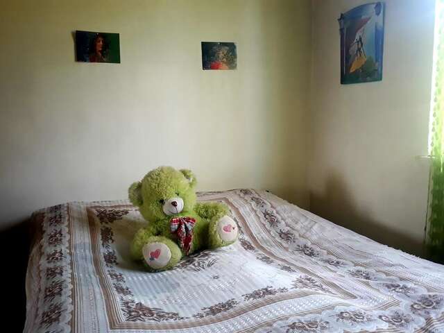 Отели типа «постель и завтрак» Dzoragyugh guesthouse Dzoragyugh-25
